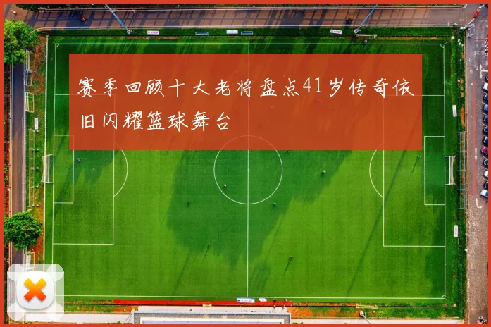 赛季回顾十大老将盘点41岁传奇依旧闪耀篮球舞台